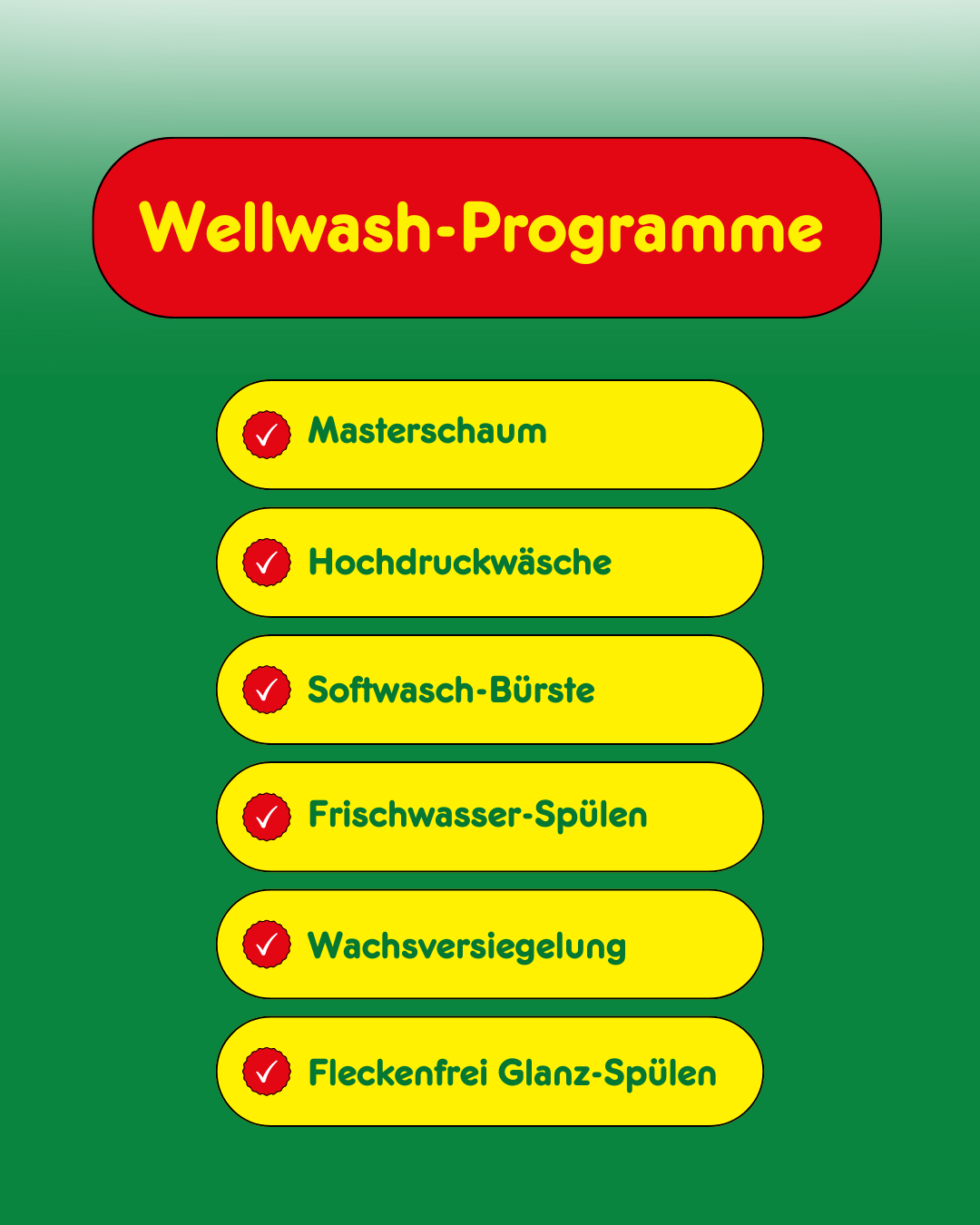 Ein grüner Hintergrund mit einem roten Banner mit der Überschrift 'Wellwash-Programme'. Darunter befinden sich sechs gelbe Kästchen mit einem Häkchen und Text: 'Masterschaum', 'Hochdruckwäsche', 'Softwash-Bürste', 'Frischwasser-Spülen', 'Wachsversiegelung', 'Fleckenfrei Glanz-Spülen'.