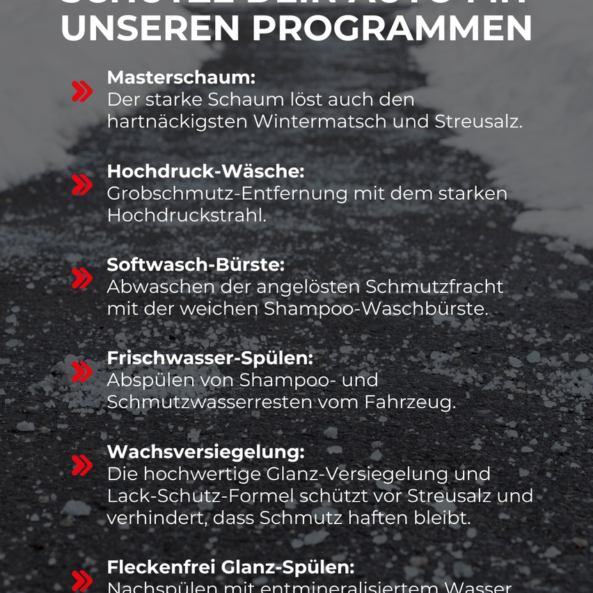 Das Bild zeigt eine Liste von Autopflegeprogrammen. Dazu gehören Masterschaum, Hochdruckwäsche, Softwaschbürste, Frischwasserspülung, Wachsversiegelung und fleckenfreies Glanzspülen. Jedes Programm wird kurz beschrieben.