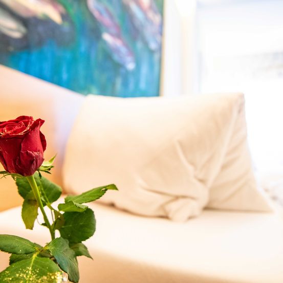 Bild enthält, Flower, Plant, Rose, Couch, Furniture, Flower Arrangement, Flower Bouquet