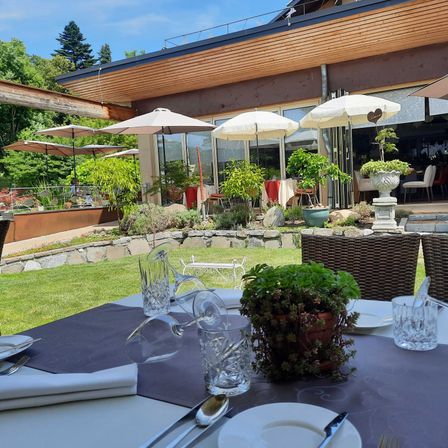 Bild enthält, Table, Dining Table, Plant, Tabletop, Backyard, Terrace, Chair, Interior Design, Knife, Cup