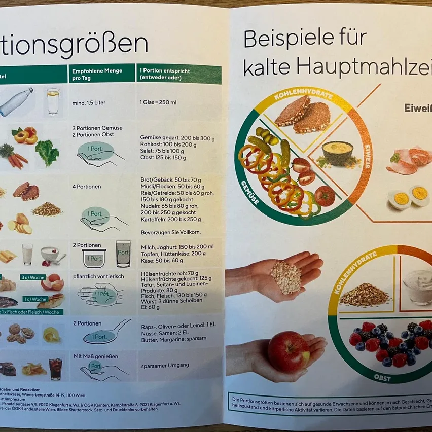 Eine offene Buchseite zeigt Ernährungsrichtlinien in deutscher Sprache. Es listet empfohlene Portionsgrößen für Gemüse, Getreide, Proteine und Früchte auf. Es enthält ein Diagramm mit Kategorien wie Kohlenhydrate, Proteine und Fette. Es empfiehlt bestimmte Portionen für verschiedene Lebensmittel wie Reis, Nüsse und Eier.