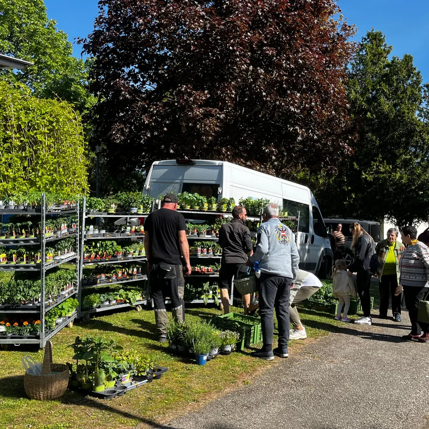 Ein Gartendisplay mit einem Van dahinter, Menschen beim Einkaufen und einem großen Baum.