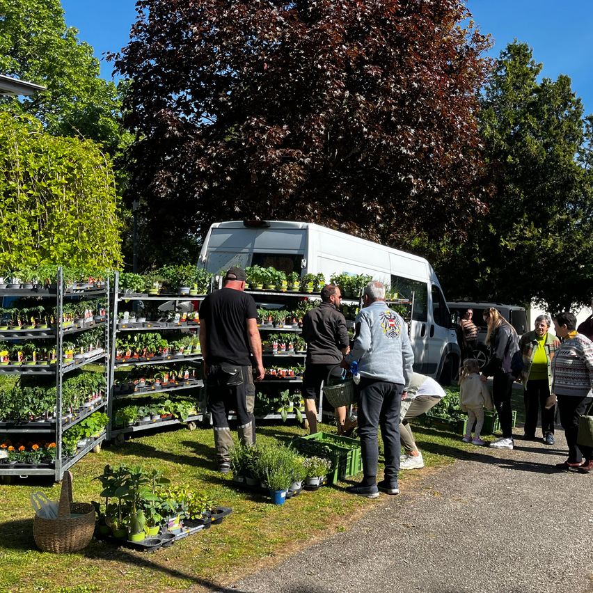 Ein Gartendisplay mit einem Van dahinter, Menschen beim Einkaufen und einem großen Baum.