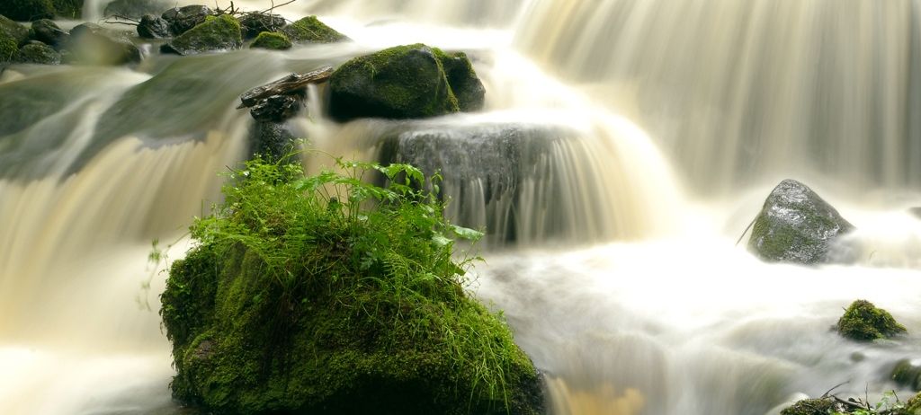 Ein lebendiger Bach strömt über mit Moos und Grün bedeckte Felsen. Das Wasser spritzt sanft und schafft eine ruhige und erfrischende Szene.