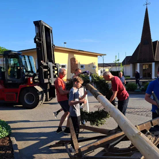 Männer und ein Junge arrangieren eine große immergrüne Pflanze, möglicherweise einen Weihnachtsbaum, mit einem Gabelstapler im Hintergrund.