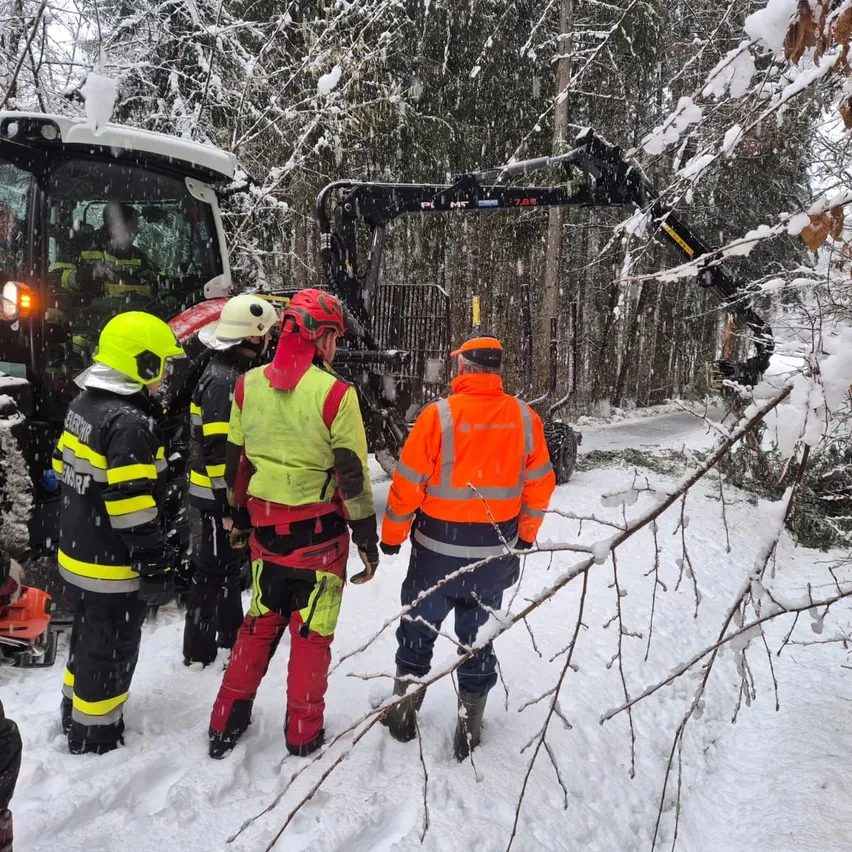 In einem verschneiten Gebiet stehen Feuerwehrleute und Arbeiter in reflektierender Kleidung um einen umgestürzten Baum, mit einem Baufahrzeug in der Nähe.