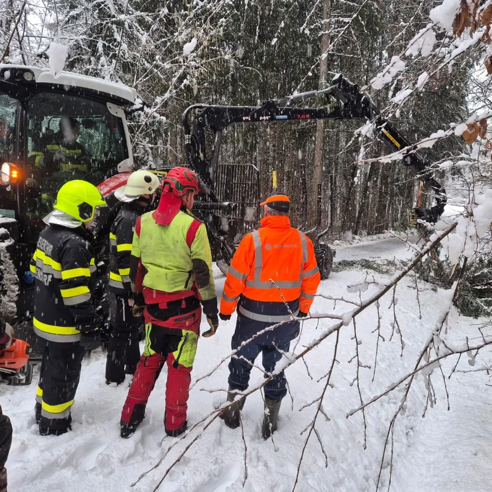 In einem verschneiten Gebiet stehen Feuerwehrleute und Arbeiter in reflektierender Kleidung um einen umgestürzten Baum, mit einem Baufahrzeug in der Nähe.