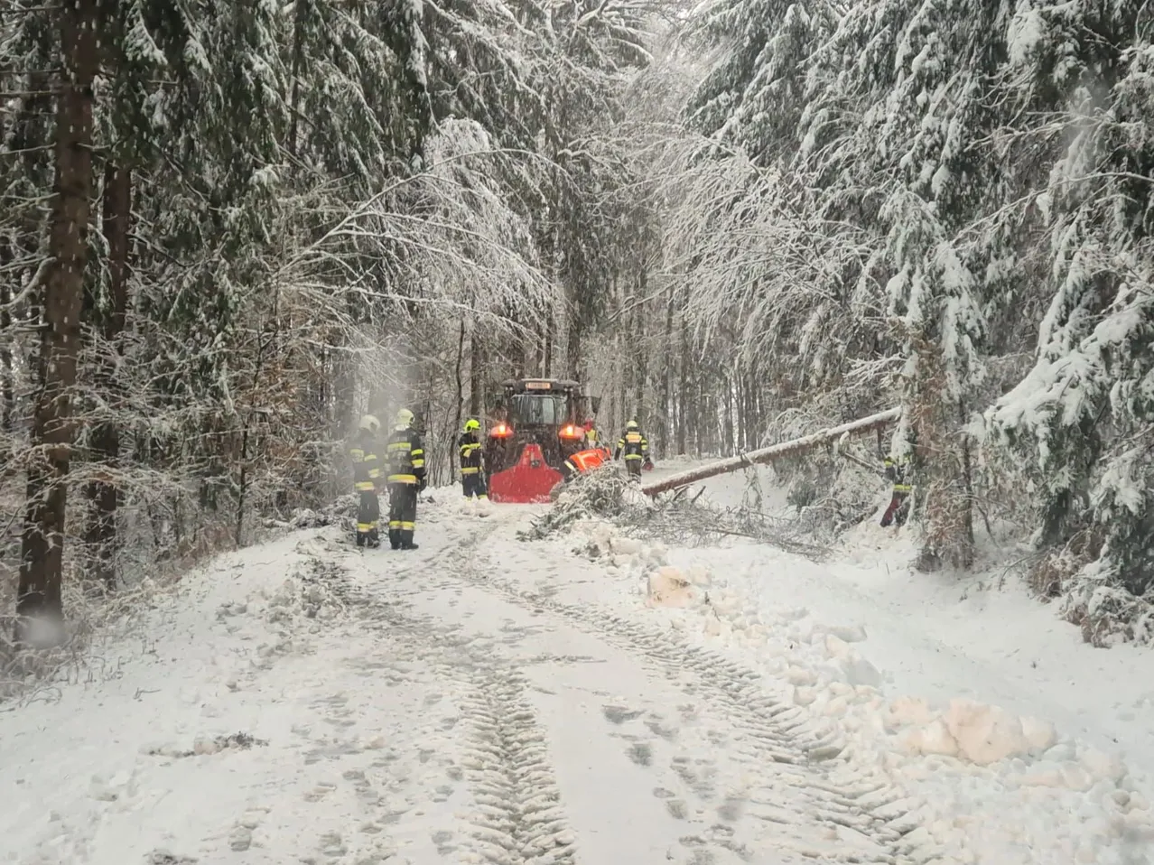 Eine Mannschaft räumt einen umgestürzten Baum in einem verschneiten Wald mit einem roten Schneepflug. Schneebedeckte Bäume umgeben den Weg.