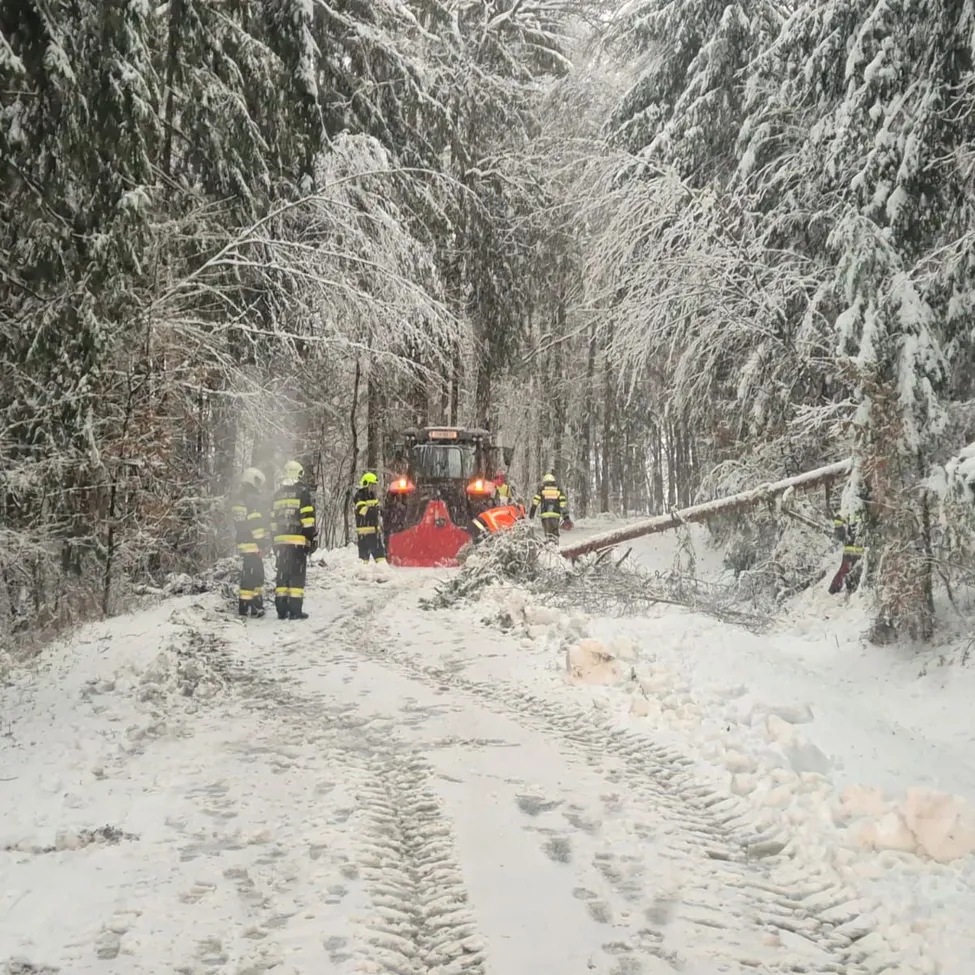 Eine Mannschaft räumt einen umgestürzten Baum in einem verschneiten Wald mit einem roten Schneepflug. Schneebedeckte Bäume umgeben den Weg.