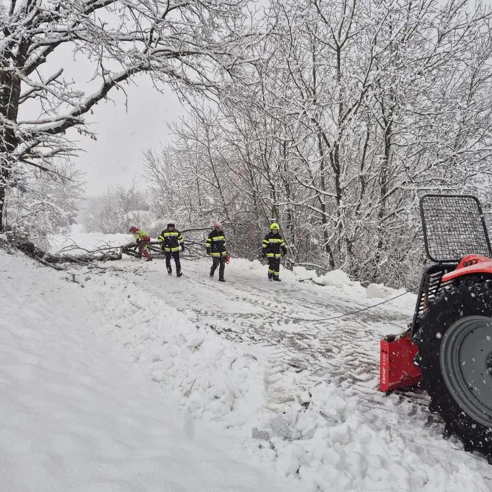 Eine Gruppe von Feuerwehrleuten in Sicherheitsausrüstung geht durch eine verschneite Landschaft und räumt möglicherweise einen Weg.