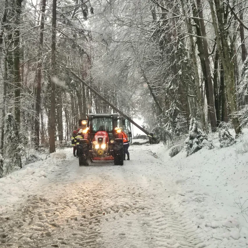 Ein Traktor pflügt durch den Schnee in einem Wald, umgestellt von mehreren Personen, möglicherweise wird ein umgestürzter Baum entfernt.