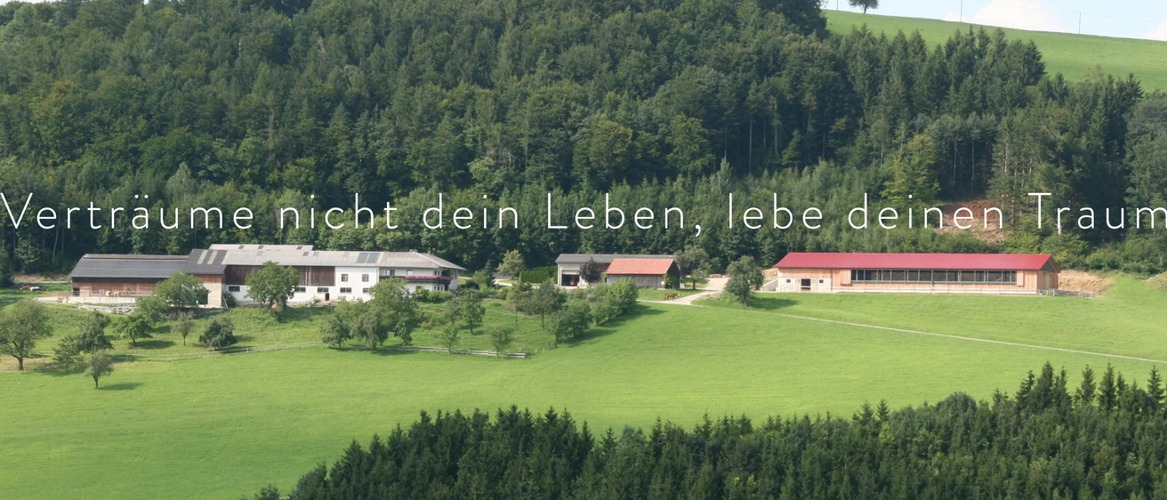 Eine Landschaftsansicht mit Häusern, einem grünen Feld und Bäumen. Ein Schild steht, 't dein Leben, lebe'.