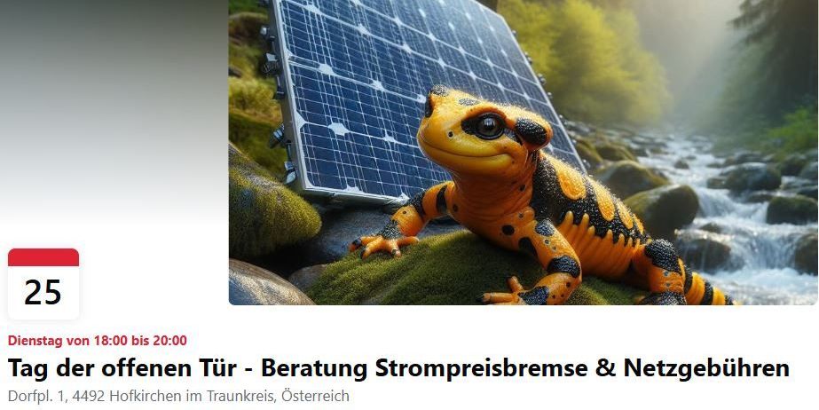 Bild enthält, Animal, Lizard, Reptile, Wildlife, Amphibian, Salamander, Outdoors