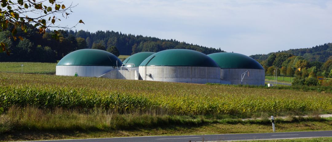Bild enthält, Architecture, Building, Planetarium, Observatory, Grass, Plant
