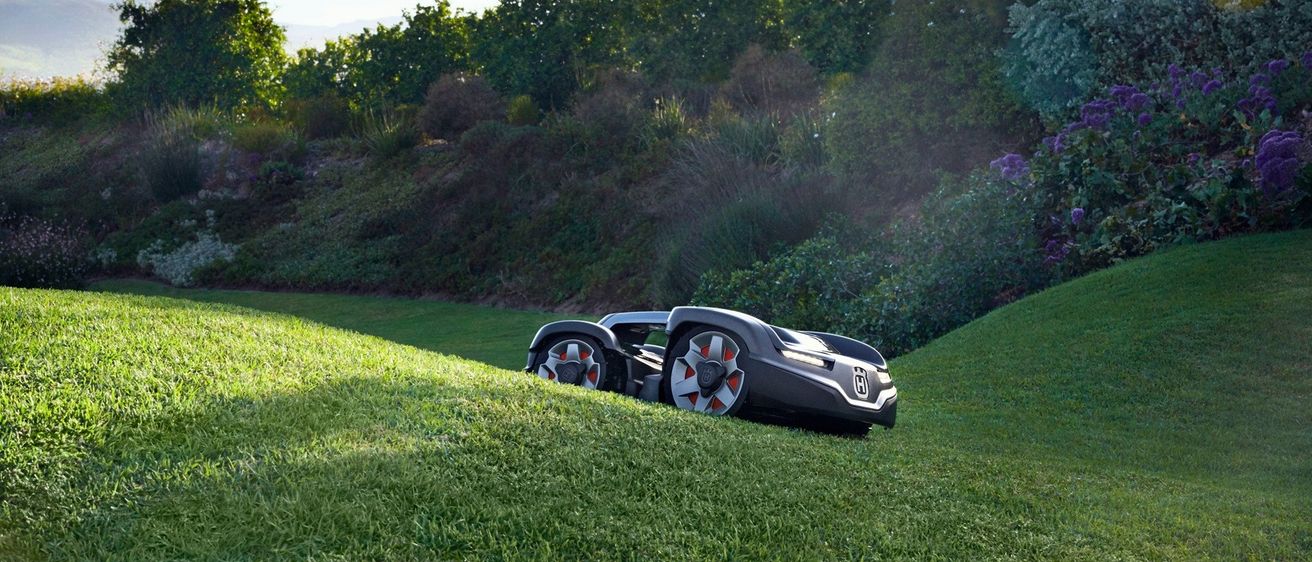 Ein schlanker, schwarzer Roboter-Rasenmäher befindet sich auf einem grünen Hügel, umgeben von Grünpflanzen und Bäumen.