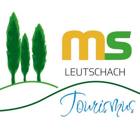 logo_ms(1)
