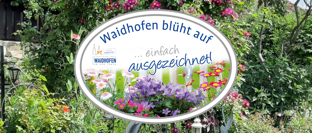 Waidhofen blüht auf einfach und vortrefflich mit Blumen. Das Bild zeigt einen Garten mit leuchtenden Blumen und üppigem Grün.
