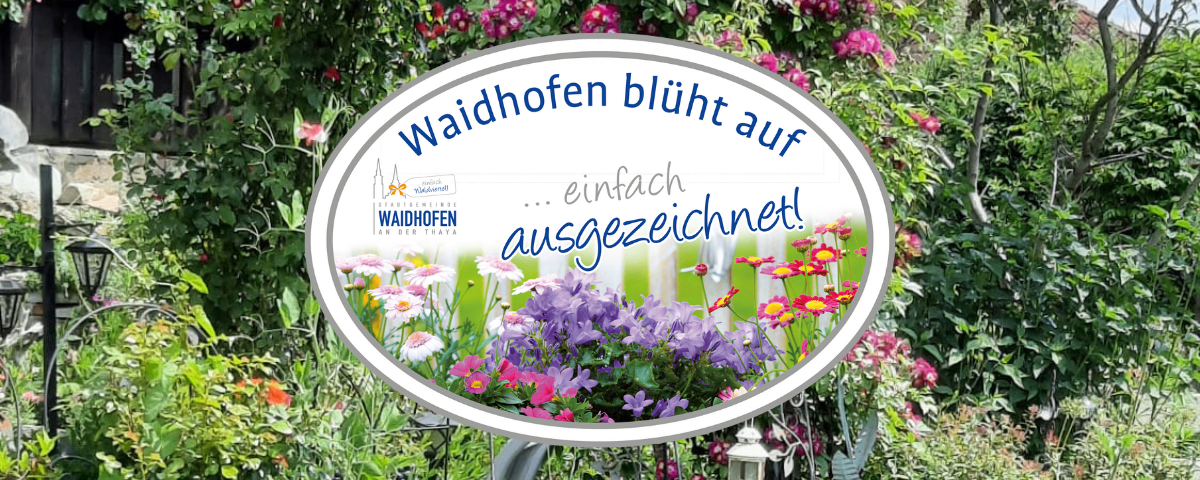 Waidhofen blüht auf einfach und vortrefflich mit Blumen. Das Bild zeigt einen Garten mit leuchtenden Blumen und üppigem Grün.