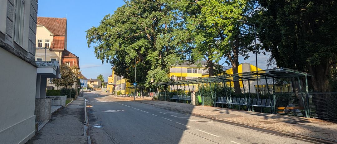 Eine ruhige Straße mit einer Reihe von Bäumen auf beiden Seiten. Rechts stehen Bänke unter einem Schutzdach. Im Hintergrund befinden sich Gebäude und ein blauer Himmel.