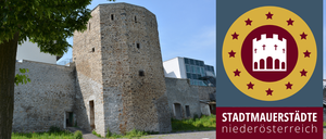 Ein alter Steinturm und ein modernes Gebäude stehen nebeneinander mit einem Grasbereich davor. Der Text 'Stadtmauer niederoess' ist auf einem gelben Hintergrund angezeigt.