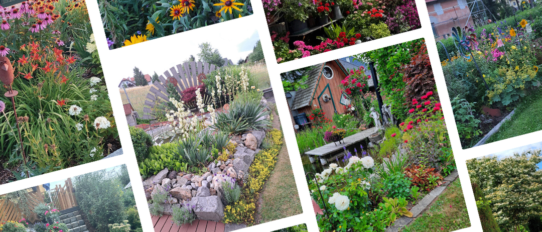 Eine Collage verschiedener Gärten mit verschiedenen Blumen, Pflanzen und einem kleinen Haus mit einem Weg, der zu einer Holzbank führt.