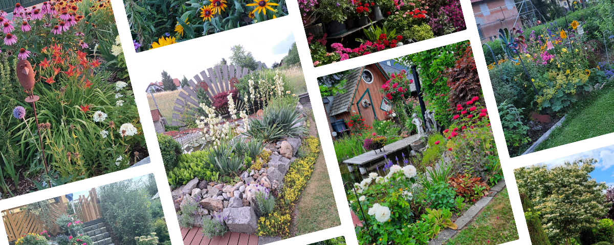Eine Collage verschiedener Gärten mit verschiedenen Blumen, Pflanzen und einem kleinen Haus mit einem Weg, der zu einer Holzbank führt.