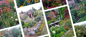 Eine Collage verschiedener Gärten mit verschiedenen Blumen, Pflanzen und einem kleinen Haus mit einem Weg, der zu einer Holzbank führt.
