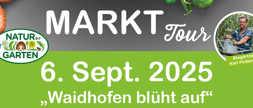 Markt-Tour-Plakat mit Datum 6. September 2025 und dem Text 'Waidhofen blüht auf'. Grüne Pflanzenillustration oben.