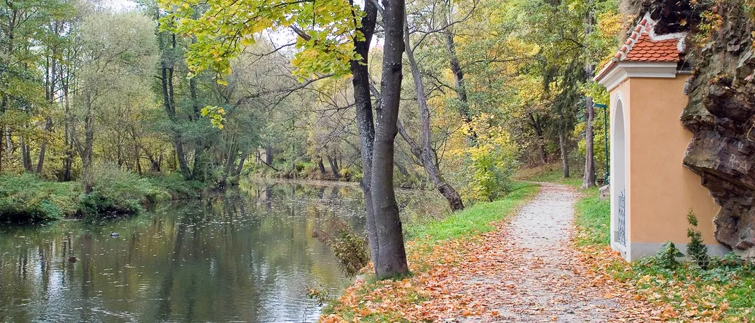 Eine ruhige Herbstszene mit einem Baum am Fluss, gefallene Blätter auf dem Gras und einem kleinen Gebäude rechts.