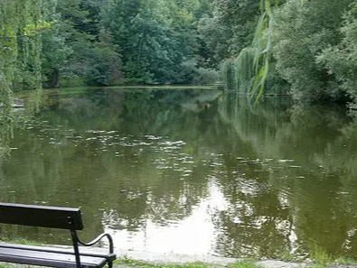 Bild enthält, Nature, Outdoors, Pond, Scenery, Water, Bench, Furniture, Lakefront