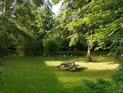 Bild enthält, Grass, Nature, Outdoors, Park, Bench, Furniture, Scenery, Lawn, Backyard, Woodland