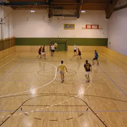 Bild enthält, Basketball, Basketball Game, Sport, Person, Playing Basketball, Volleyball, Volleyball Game, Head