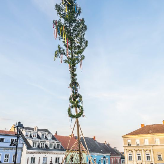 Ein geschmückter Tannenbaum steht auf einem Stadtplatz, umgeben von bunten Gebäuden. Der Baum ist mit Bändern und Girlanden geschmückt.