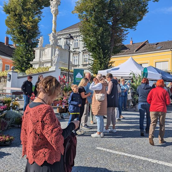 Menschen versammeln sich auf einem Stadtplatz. Einige stöbern auf einem Blumenmarkt, während andere stehen und plaudern. Im Hintergrund ist eine Statue und Zelte zu sehen.