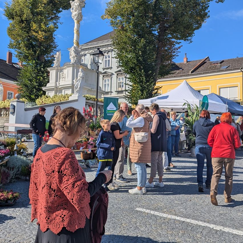 Menschen versammeln sich auf einem Stadtplatz. Einige stöbern auf einem Blumenmarkt, während andere stehen und plaudern. Im Hintergrund ist eine Statue und Zelte zu sehen.