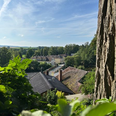 Ein Blick auf eine Stadt mit mehreren Häusern und einer Brücke, umgeben von Bäumen und einem klaren blauen Himmel.