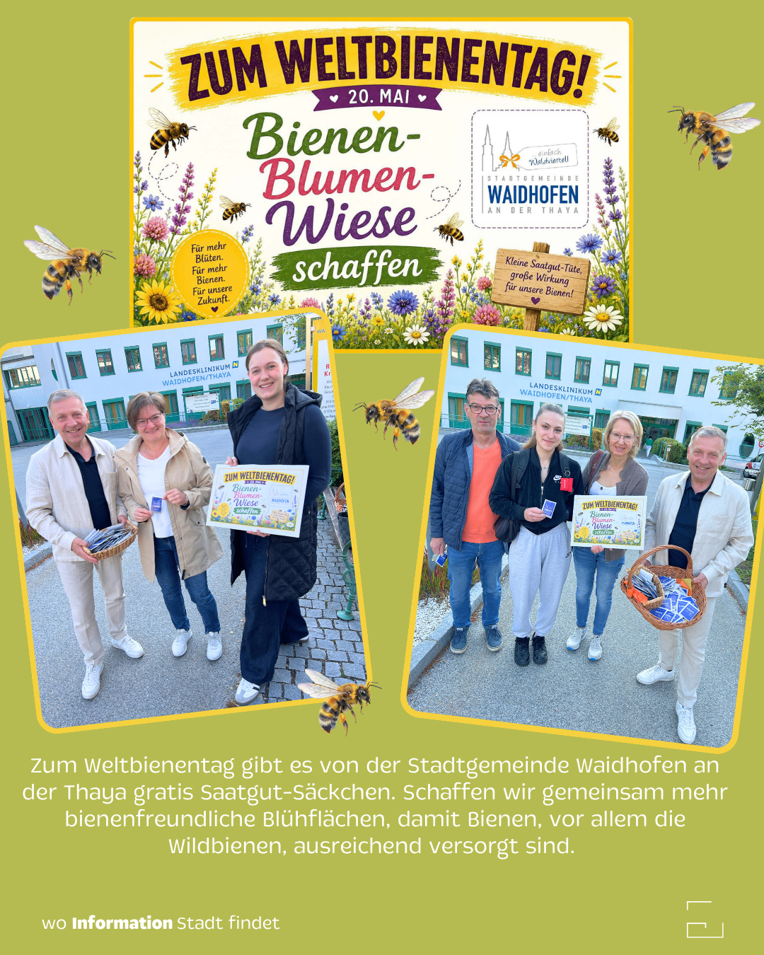 Zum Weltbienentag gibt es von der Stadtgemeinde Waidhofen an der Thaya gratis Saatgut-Säckchen. Schaffen wir gemeinsam mehr bienenfreundliche Blühflächen, damit Bienen, vor allem die Wildbienen, ausreichend versorgt sind.