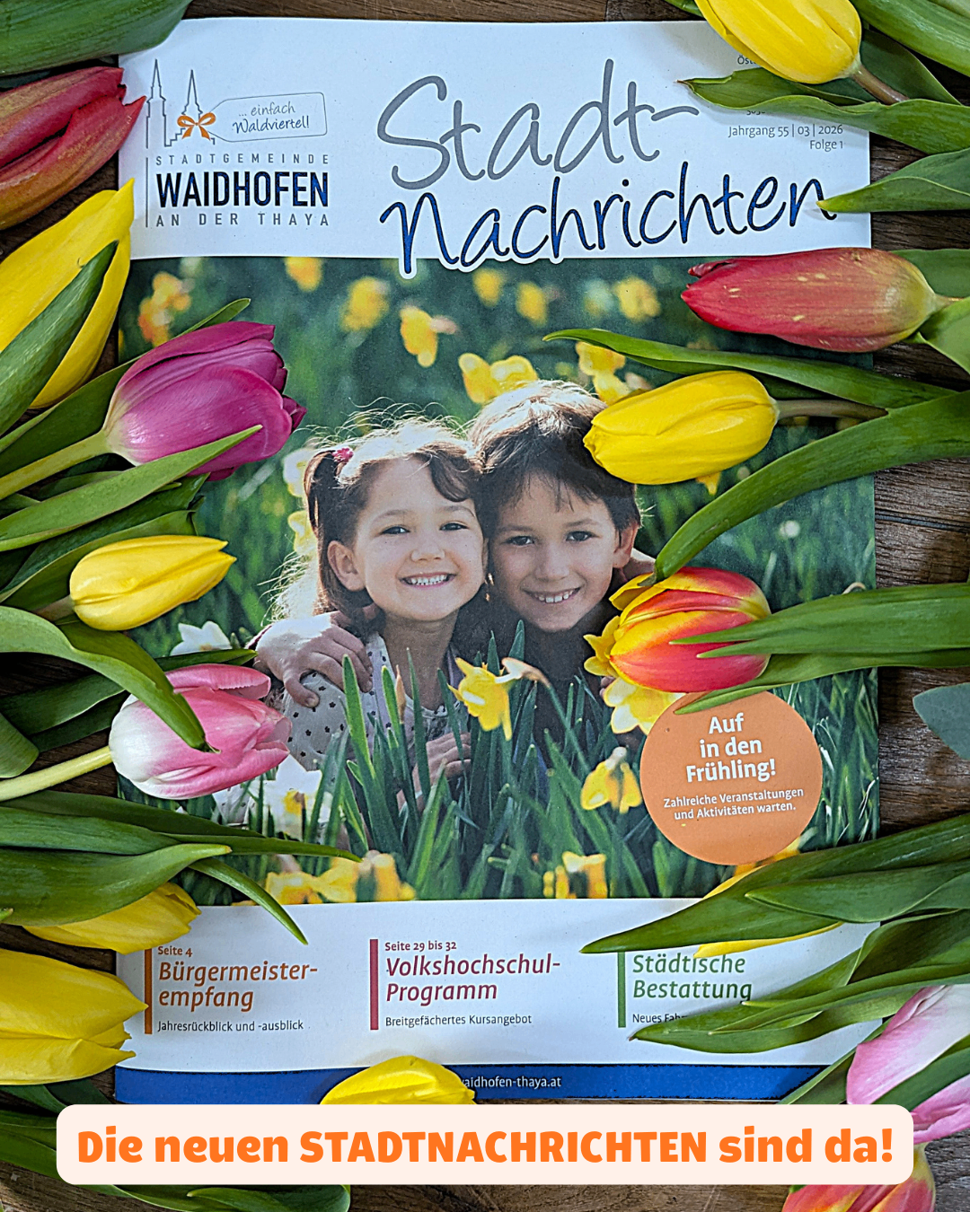 Ein Zeitschriftencover mit zwei lächelnden Kindern, umgeben von Tulpen. Der Titel lautet 'Stadt Nachrichten' mit dem Untertitel 'Waidhofen an der Thaya'. Es enthält einen Aufkleber mit der Aufschrift 'Auf in den Frühling!'.