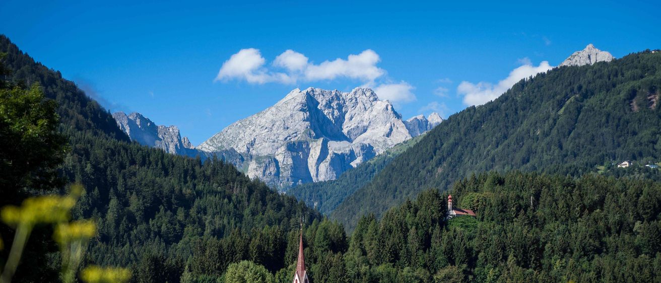 Bild enthält, Fir, Tree, Nature, Outdoors, Grassland, Countryside, Meadow, Scenery, Mountain, Mountain Range