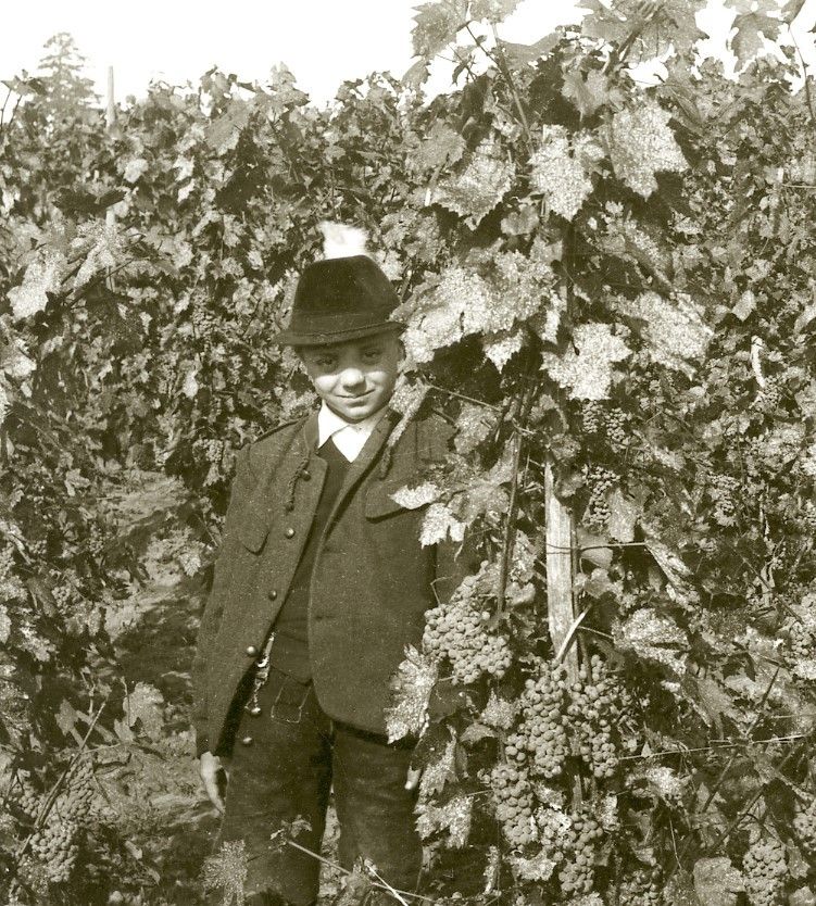 Ein junger Junge in Hut und Mantel steht in einem Weinberg mit Weinreben und Blättern.