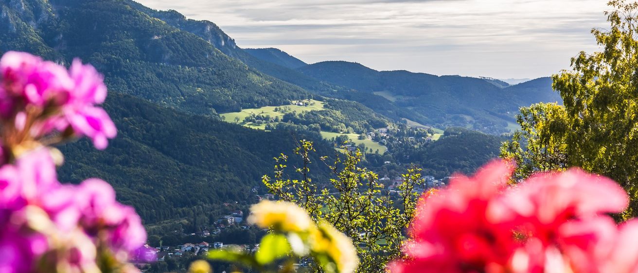 Eine Berglandschaft mit einem Tal darunter, das mit Häusern übersät ist, und einem Himmel voller Wolken. Verschiedene Blumen im Vordergrund sorgen für Farbe.