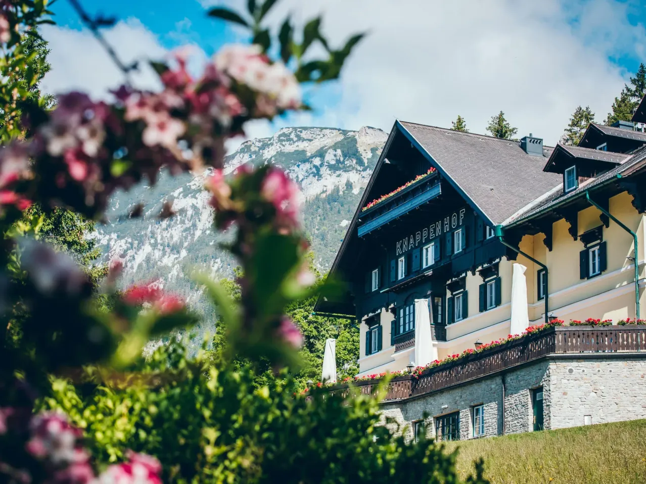 Ein Chalet mit Blumen auf dem Balkon ist vor dem Hintergrund eines Berges mit Bäumen und blauem Himmel zu sehen.