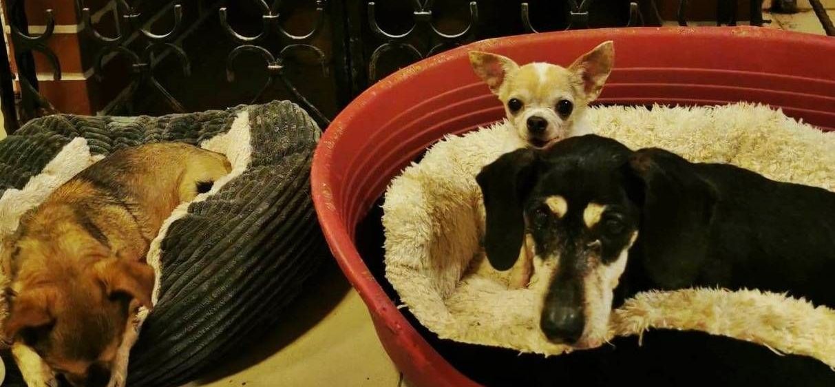 v1_migrated_image_92862508