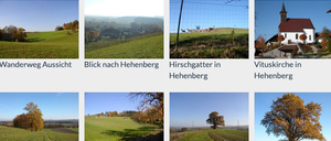 Bild enthält, Art, Collage, Grass, Vegetation, Outdoors, Nature, Tree, Field, Grassland, Countryside