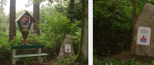 Bild enthält, Bench, Furniture, Vegetation, Grass, Outdoors, Park, Land, Tree, Woodland, Grove