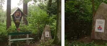 Bild enthält, Bench, Furniture, Vegetation, Grass, Outdoors, Park, Land, Tree, Woodland, Grove