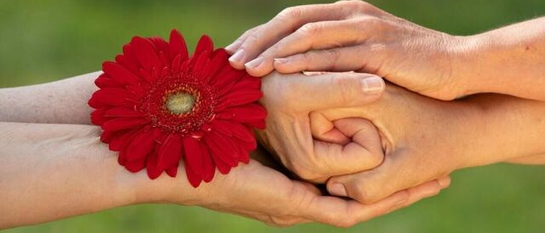 Zwei Hände, eine hält eine rote Blume, ineinander verschlungen in einer Geste der Einheit und Fürsorge.