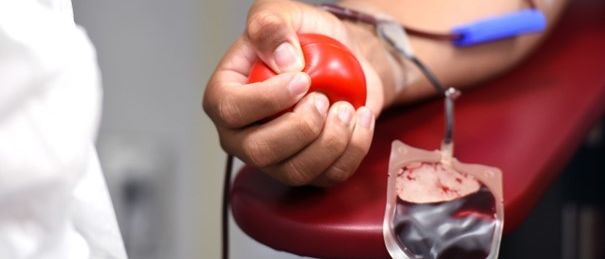 Eine Person spendet Blut in einer medizinischen Einrichtung. Die Person drückt einen roten Ball, während ein Blutbeutel an ihrem Arm angeschlossen ist.