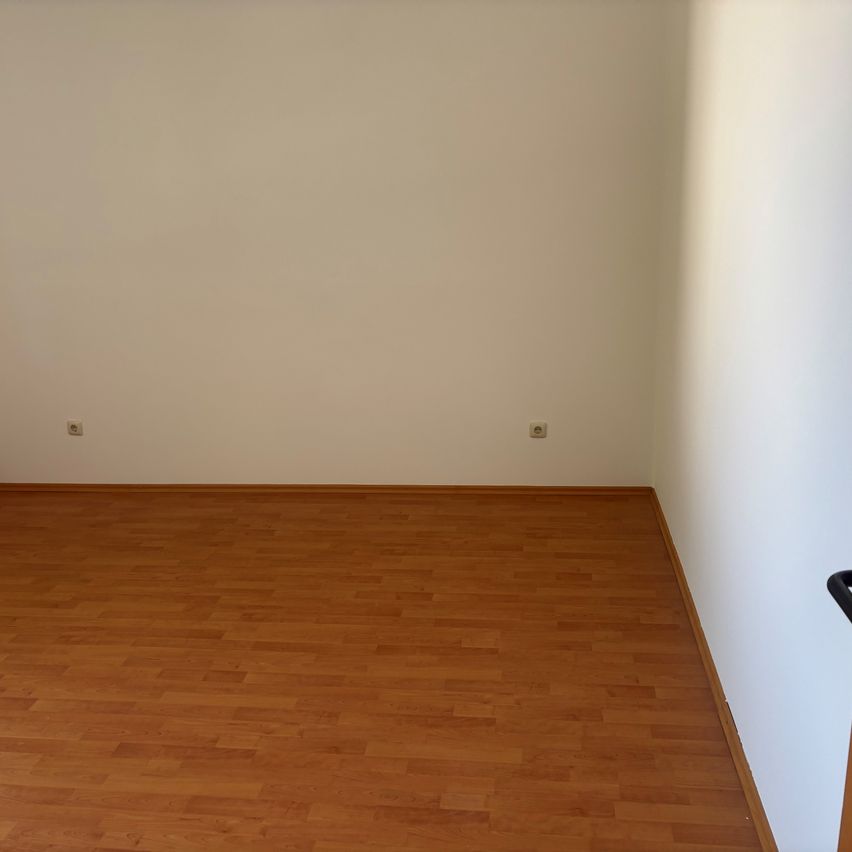 Ein leerer Raum mit weißen Wänden und einem Holzboden. Zwei Steckdosen sind an der Wand montiert.