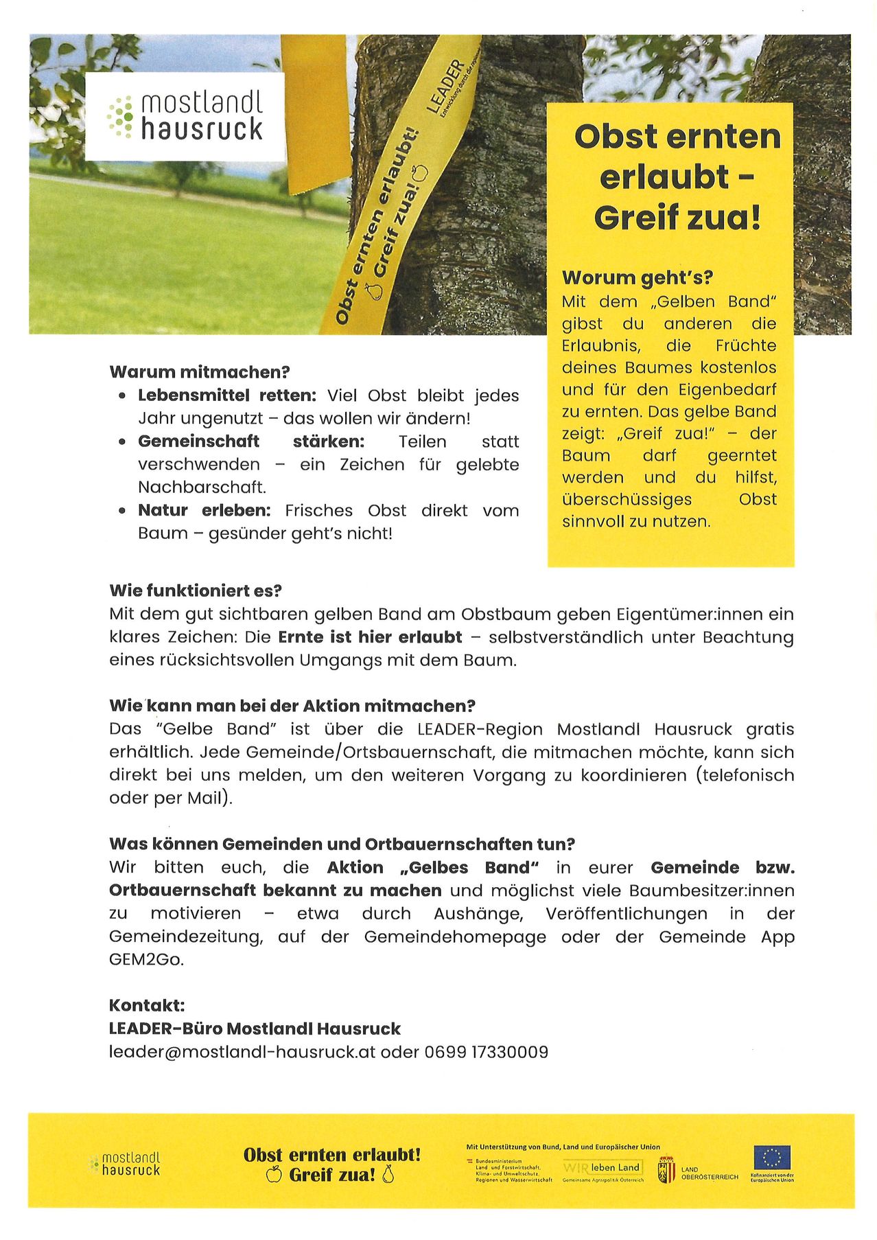 Ein gelbes Band um einen Baum lautet Greif zu! Der Flyer erklärt den Zweck des gelben Bandes um Obstbäume. Es ermutigt Gemeinden, Früchte zu ernten und Nachbarschaftsbindungen zu stärken. Es ermöglicht Naturliebhabern auch, frisches Obst direkt vom Baum zu genießen.